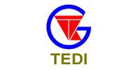 Logo Tedi